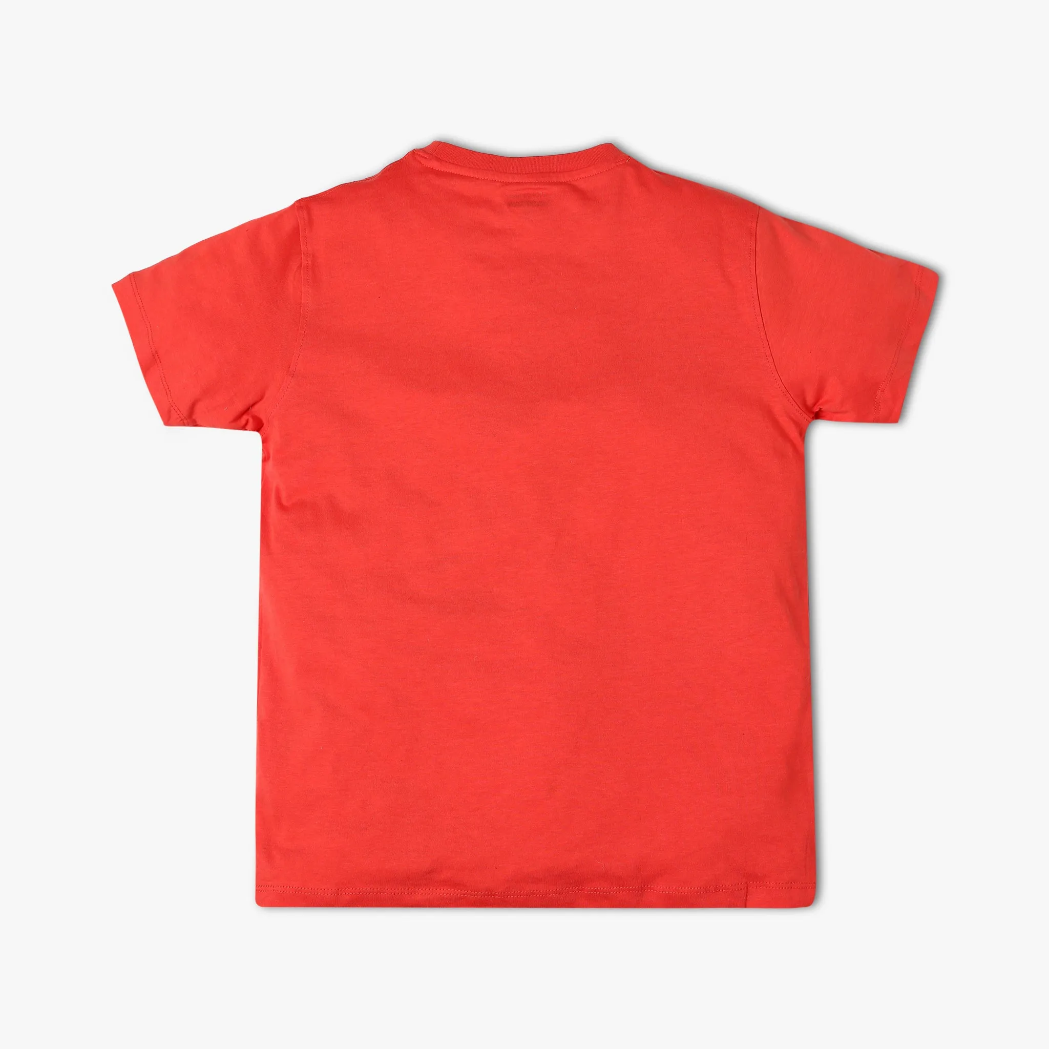 Boy's Regular Fit Graphic T-Shirt